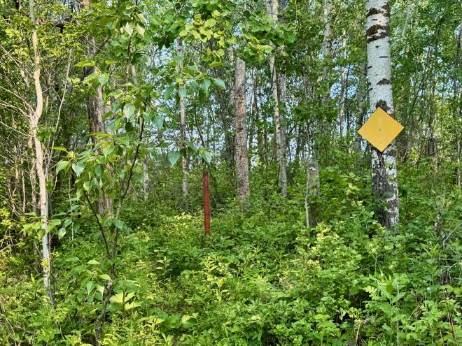 Waskahegan Berg Section - South Trailhead