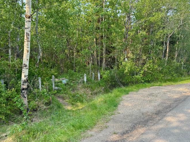 Francis Edward Williams Trailhead